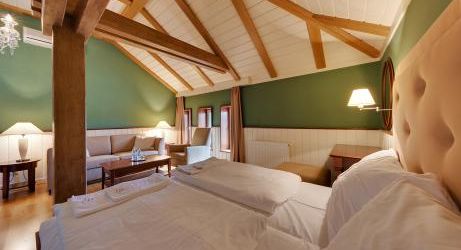 Izby a apartmány - Hotel Torysa